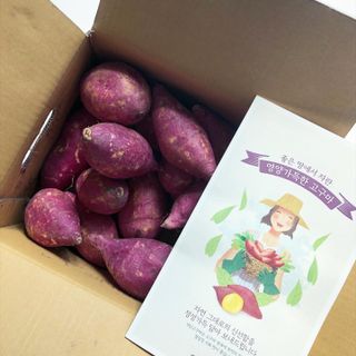 해뜨온 거산 노랑밤고구마 (3,4,5,10 kg) 한입 — 5점을 준 리뷰어가 2021년 10월 올린 사용 사진