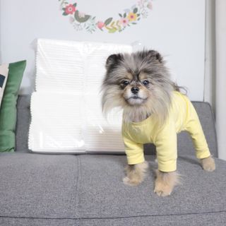 오코리타님이 올린 리뷰 사진 3