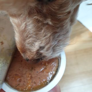 🐕삐딱이💖💖💖님이 올린 리뷰 사진 3