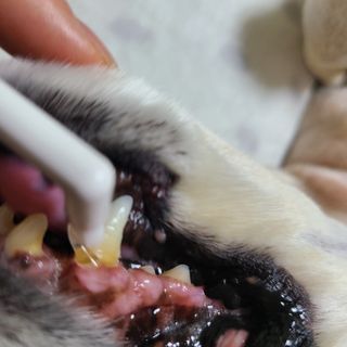 제니맘님이 올린 리뷰 사진 4