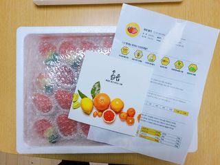 옳음 딸기 논산 설향 딸기 900g 산지직송 — 5점을 준 리뷰어가 2021년 1월 올린 사용 사진