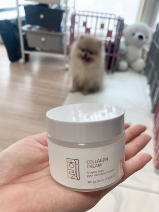 맑음이님이 올린 리뷰 사진 2