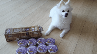 보미누나님이 올린 리뷰 사진 1