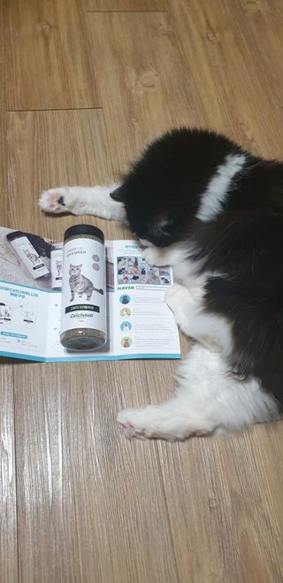 인구리님이 올린 리뷰 사진 1