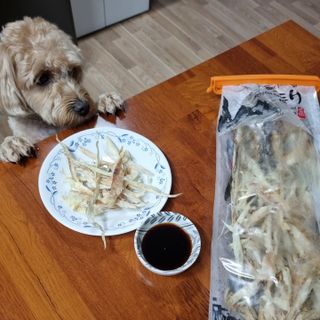 [오늘바스켓] 용대리 손질하늘태 130g — 5점을 준 리뷰어가 2021년 6월 올린 사용 사진