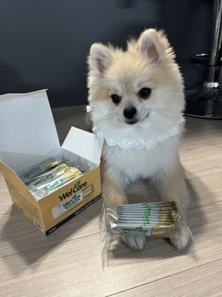 귤맛조님이 올린 리뷰 사진 3