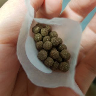 바비와구르미님이 올린 리뷰 사진 4