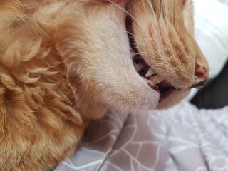 솔탄이love님이 올린 리뷰 사진 3