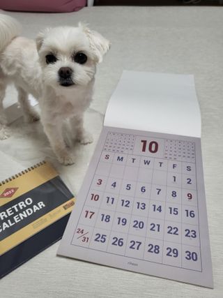 뽀오오옹님이 올린 리뷰 사진 1