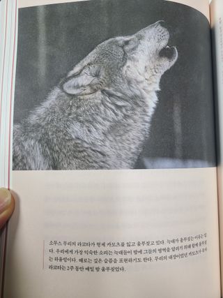 쪼로리님이 올린 리뷰 사진 1