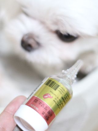 무지조타 반려동물용 꽃으로만든영양제 헬리코디펜스 15ml — 5점을 준 리뷰어가 2021년 8월 올린 사용 사진