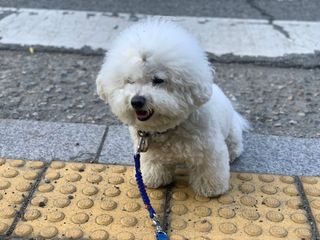 용용맹님이 올린 리뷰 사진 4
