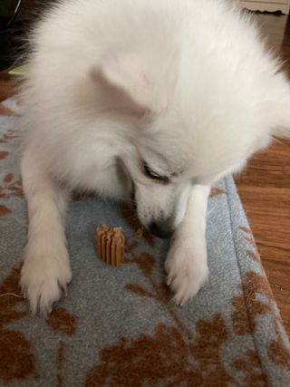 민트초코님이 올린 리뷰 사진 4