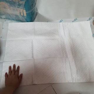 아베크 펫 와이드 프리미엄 대형 애견 강아지 배변 패드 30매 1팩 80g — 5점을 준 리뷰어가 2021년 7월 올린 사용 사진