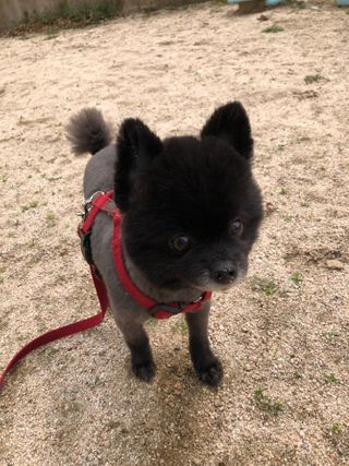 i_Moonsta님이 올린 리뷰 사진 3