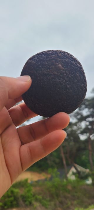 써니35님이 올린 리뷰 사진 4