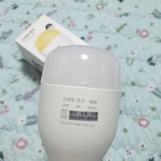 도톨님이 올린 리뷰 사진 2