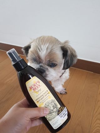 민우다빈이맘님이 올린 리뷰 사진 2