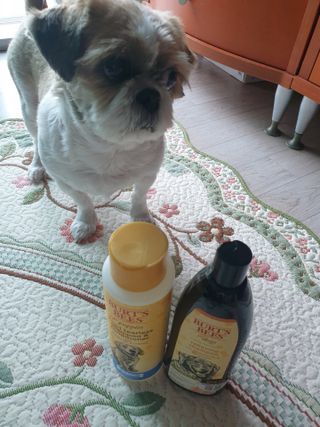 보리엄마님이 올린 리뷰 사진 3