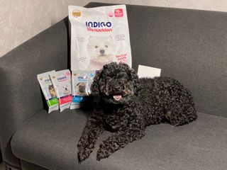 오둘님이 올린 리뷰 사진 1