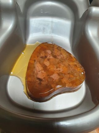 끌랑님이 올린 리뷰 사진 2