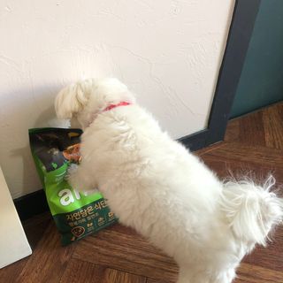 욘짱님이 올린 리뷰 사진 4