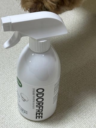 진시님이 올린 리뷰 사진 2