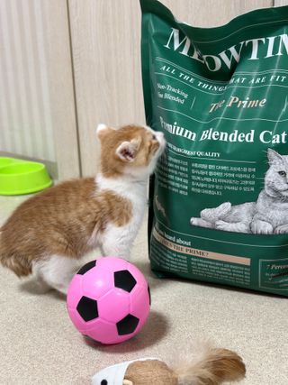 강우영님이 올린 리뷰 사진 2