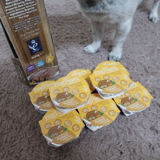 노이님이 올린 리뷰 사진 4