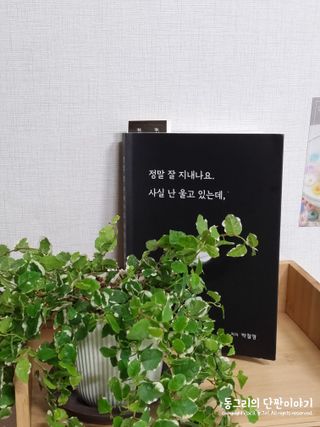 동그리동동님이 올린 리뷰 사진 4