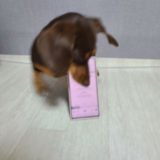 이쁘콩님이 올린 리뷰 사진 3