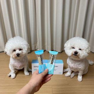 페페로니 2종 세트 클린플러스 덴탈껌 치킨+덕 — 5점을 준 리뷰어가 2021년 8월 올린 사용 사진