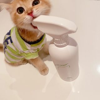 [푸푸몬스터] 비건 펫 데오 스프레이(탈취제) 500ml (유향/무향 택 1) — 4점을 준 리뷰어가 2022년 7월 올린 사용 사진