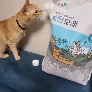 수경이야님이 올린 리뷰 사진 1