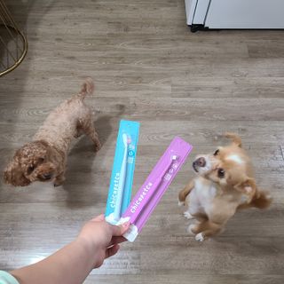 제이님이 올린 리뷰 사진 2