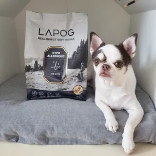 [푸디웜] 라포그 리얼인섹트 소프트키블 스킨 1KG — 5점을 준 리뷰어가 2022년 9월 올린 사용 사진