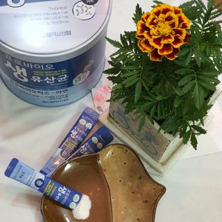 서울약사신협_프로바이오생유산균_2.5G x 100포 — 4점을 준 리뷰어가 2021년 5월 올린 사용 사진