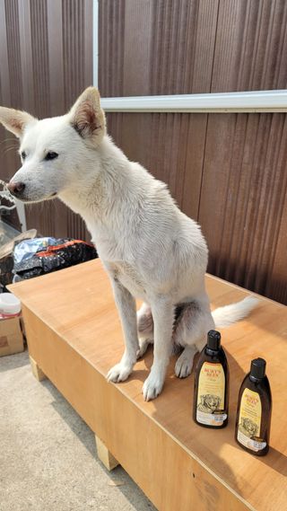 Jenny님이 올린 리뷰 사진 3