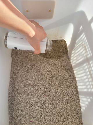 순모님이 올린 리뷰 사진 2