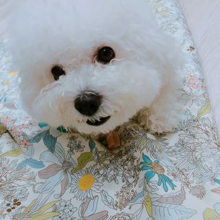 우주님이 올린 리뷰 사진 1
