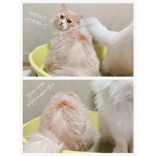 똥비님이 올린 리뷰 사진 4