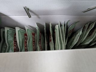 황금나무님이 올린 리뷰 사진 2