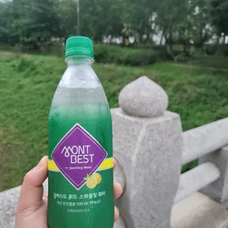 몽베스트 Montbest with Sparkling water Lemon OR Lime 20병(랜덤) — 5점을 준 리뷰어가 2022년 8월 올린 사용 사진
