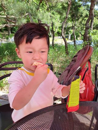 아비삭과일칩 5종 /딸기,사과,배,귤,무화과 5종 — 5점을 준 리뷰어가 2021년 5월 올린 사용 사진