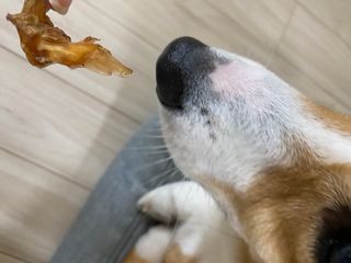 룰루랄라님이 올린 리뷰 사진 3