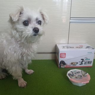 매실님이 올린 리뷰 사진 2