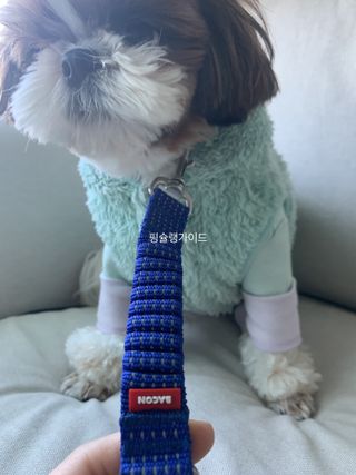 박코끼리님이 올린 리뷰 사진 3