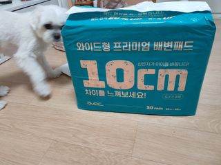 아베크 펫 와이드 프리미엄 대형 애견 강아지 배변 패드 30매 1팩 80g — 5점을 준 리뷰어가 2021년 7월 올린 사용 사진