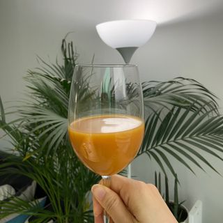 H365 [Kaskein Luomutyrniglögi] 핀란드 전통 무알콜 멀드와인 시벅톤 글로기 — 5점을 준 리뷰어가 2021년 4월 올린 사용 사진