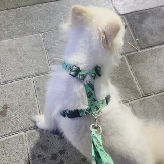 곰같은여우님이 올린 리뷰 사진 1